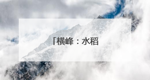 横峰：水稻制种插秧忙