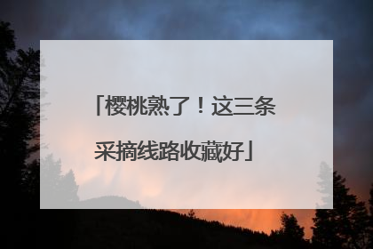 樱桃熟了！这三条采摘线路收藏好