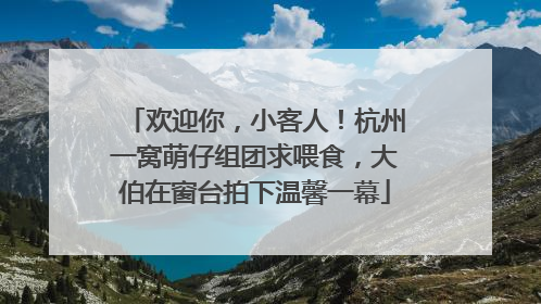 欢迎你，小客人！杭州一窝萌仔组团求喂食，大伯在窗台拍下温馨一幕