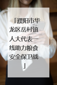 濮阳市华龙区岳村镇人大代表一线助力粮食安全保卫战
