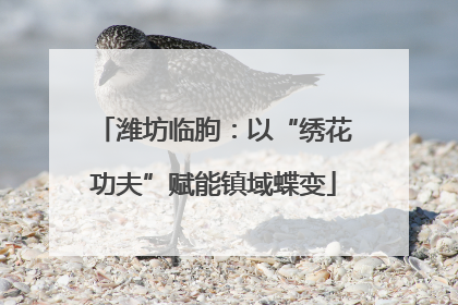 潍坊临朐：以“绣花功夫”赋能镇域蝶变