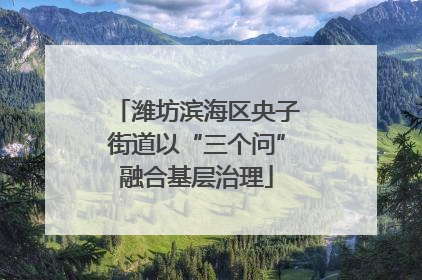 潍坊滨海区央子街道以“三个问”融合基层治理