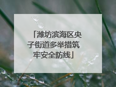 潍坊滨海区央子街道多举措筑牢安全防线