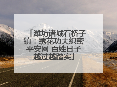 潍坊诸城石桥子镇：绣花功夫织密平安网 百姓日子越过越踏实