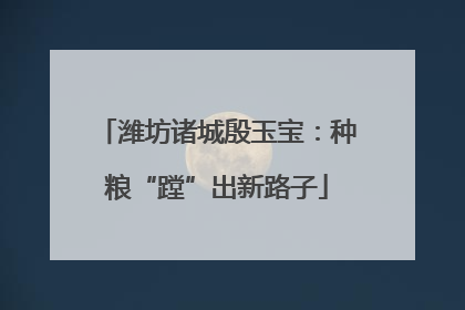 潍坊诸城殷玉宝：种粮“蹚”出新路子