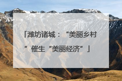 潍坊诸城：“美丽乡村”催生“美丽经济”