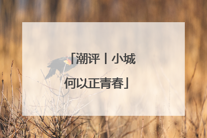 潮评丨小城何以正青春