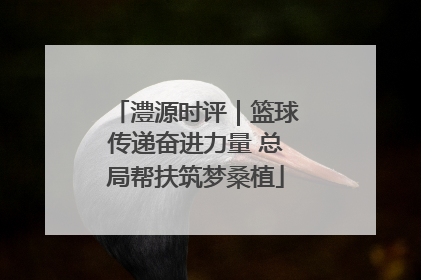 澧源时评｜篮球传递奋进力量 总局帮扶筑梦桑植
