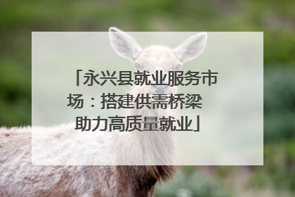 永兴县就业服务市场：搭建供需桥梁 助力高质量就业
