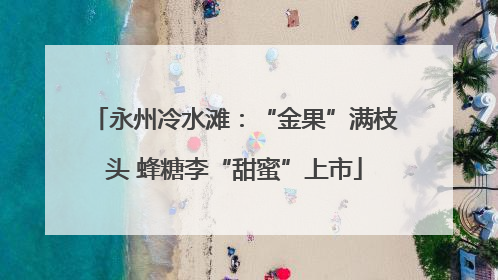 永州冷水滩：“金果”满枝头 蜂糖李“甜蜜”上市
