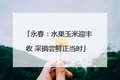 永春：水果玉米迎丰收 采摘尝鲜正当时