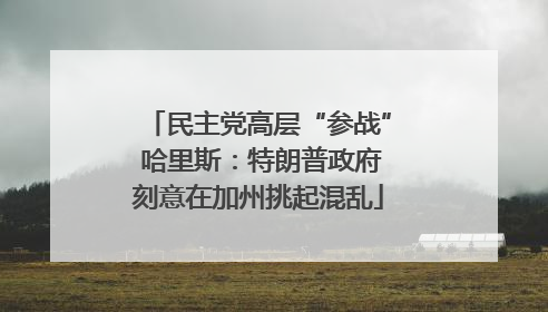 民主党高层“参战” 哈里斯：特朗普政府刻意在加州挑起混乱