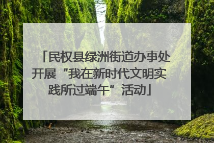 民权县绿洲街道办事处开展“我在新时代文明实践所过端午”活动