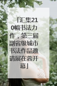 汇集210幅书法力作，第三届副省级城市书法作品邀请展在蓉开幕