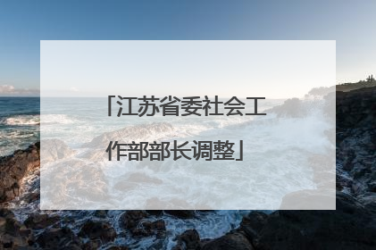 江苏省委社会工作部部长调整