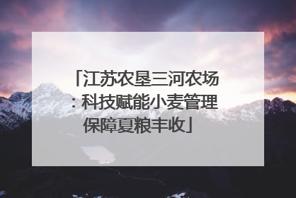 江苏农垦三河农场：科技赋能小麦管理保障夏粮丰收