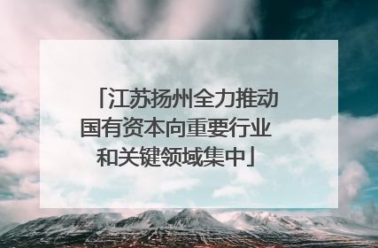 江苏扬州全力推动国有资本向重要行业和关键领域集中