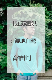 江苏泗洪：湿地白鹭育雏忙
