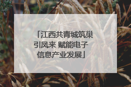 江西共青城筑巢引凤来 赋能电子信息产业发展