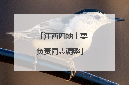 江西四地主要负责同志调整