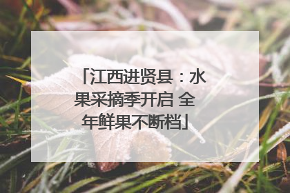 江西进贤县：水果采摘季开启 全年鲜果不断档