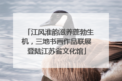 江风淮韵滋养蓬勃生机，三地书画作品联展登陆江苏省文化馆