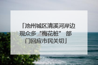 池州城区清溪河岸边现众多“梅花桩” 部门回应市民关切