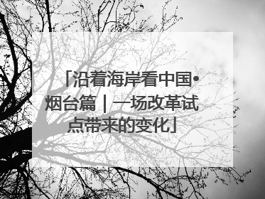 沿着海岸看中国•烟台篇｜一场改革试点带来的变化