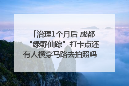 治理1个月后 成都“绿野仙踪”打卡点还有人横穿马路去拍照吗？｜民情瞭望