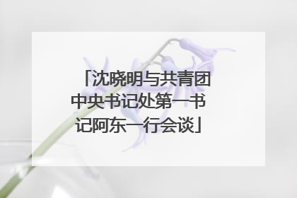 沈晓明与共青团中央书记处第一书记阿东一行会谈