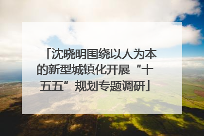 沈晓明围绕以人为本的新型城镇化开展“十五五”规划专题调研