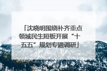 沈晓明围绕补齐重点领域民生短板开展“十五五”规划专题调研