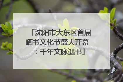 沈阳市大东区首届晒书文化节盛大开幕：千年文脉遇书
