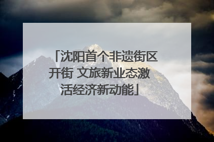 沈阳首个非遗街区开街 文旅新业态激活经济新动能