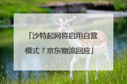 沙特起网将启用自营模式？京东物流回应