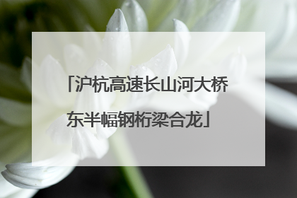 沪杭高速长山河大桥东半幅钢桁梁合龙