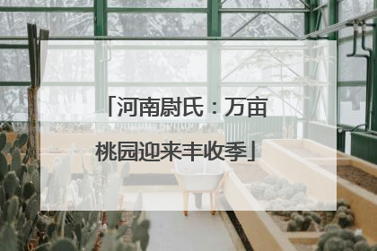河南尉氏：万亩桃园迎来丰收季