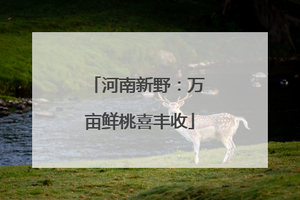 河南新野:万亩鲜桃喜丰收