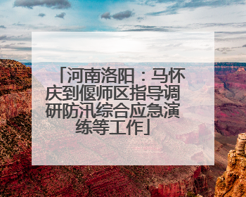 河南洛阳：马怀庆到偃师区指导调研防汛综合应急演练等工作