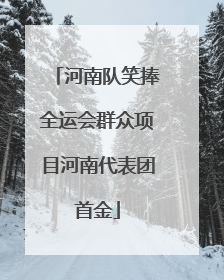 河南队笑捧全运会群众项目河南代表团首金