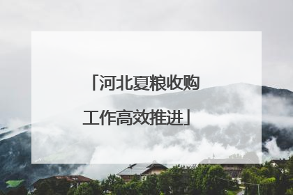 河北夏粮收购工作高效推进
