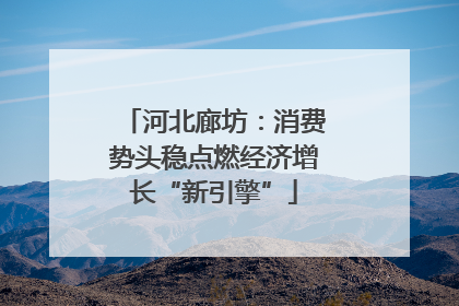 河北廊坊：消费势头稳点燃经济增长“新引擎”