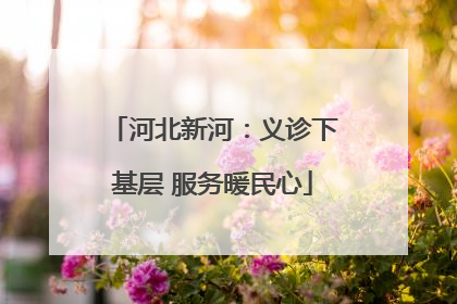 河北新河：义诊下基层 服务暖民心