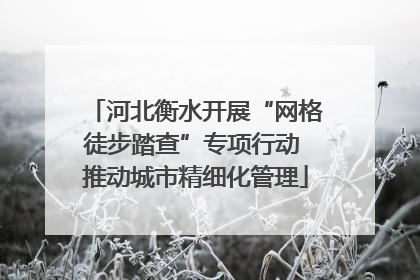 河北衡水开展“网格徒步踏查”专项行动 推动城市精细化管理