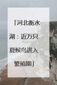 河北衡水湖：近万只夏候鸟进入繁殖期