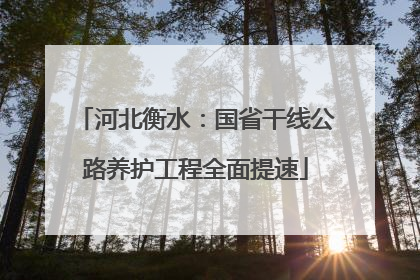 河北衡水：国省干线公路养护工程全面提速