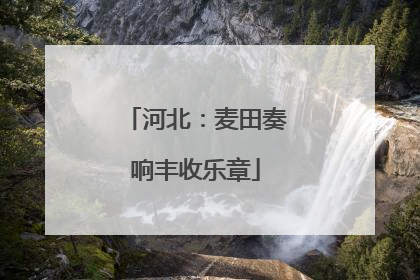 河北：麦田奏响丰收乐章