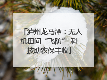 泸州龙马潭：无人机田间“飞防” 科技助农保丰收