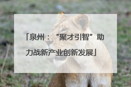 泉州：“聚才引智”助力战新产业创新发展