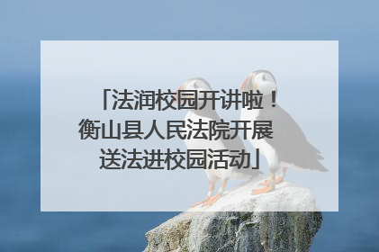法润校园开讲啦！衡山县人民法院开展 送法进校园活动